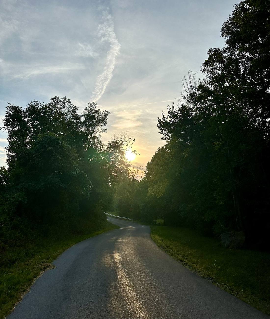 A country road curving into the trees at sunset