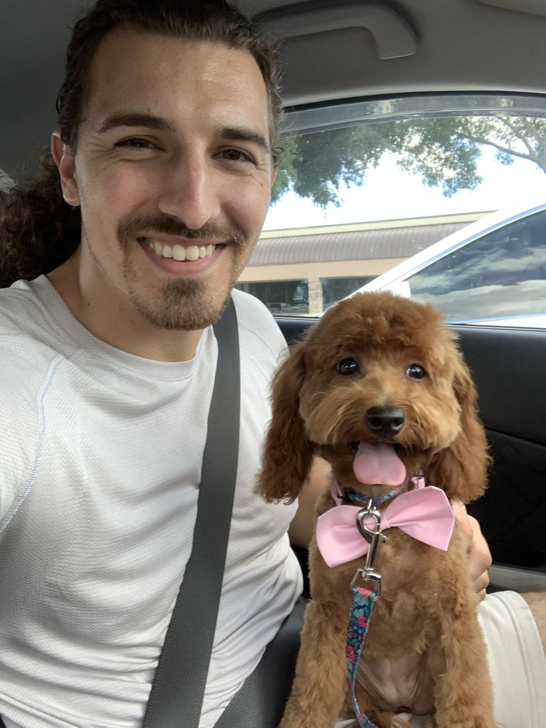 Coco as a puppy in a pink bow tie, riding in the passenger seat