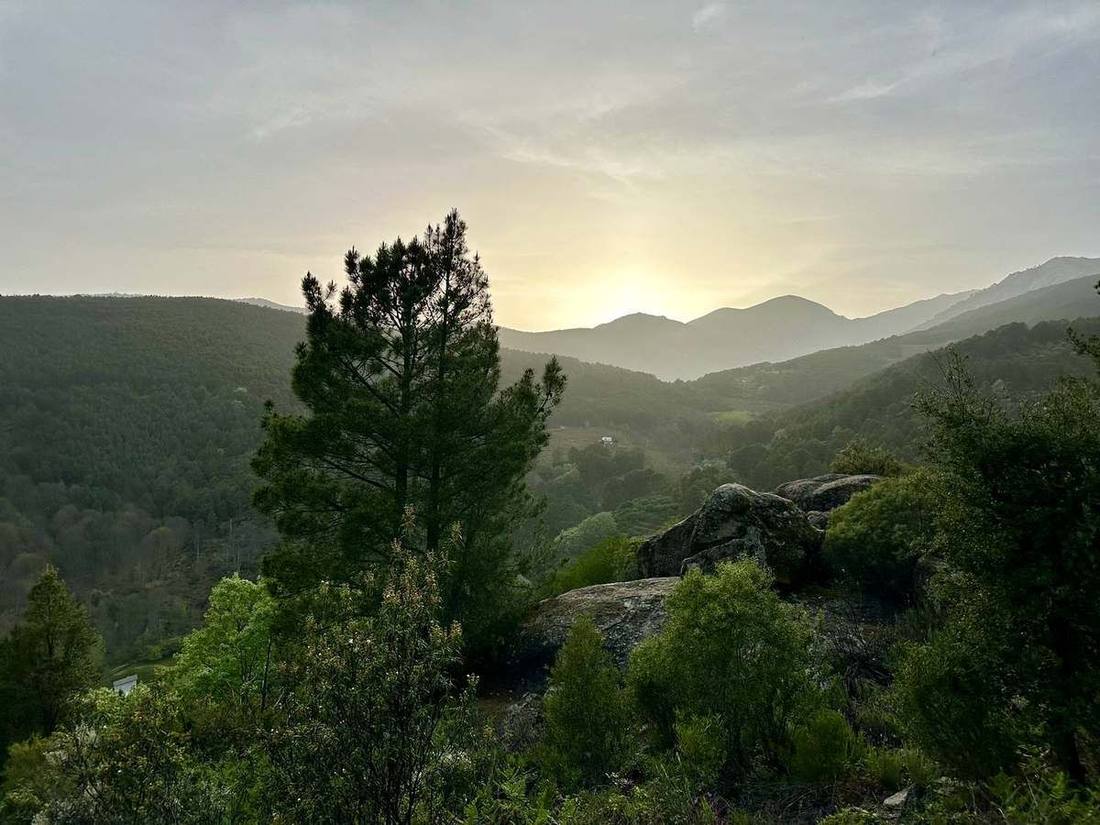 Evening light over the scrub and pine valleys of the Sierra de Gredos